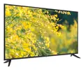 DM-LED55UQ31